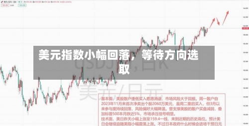 美元指数小幅回落，等待方向选取-第1张图片