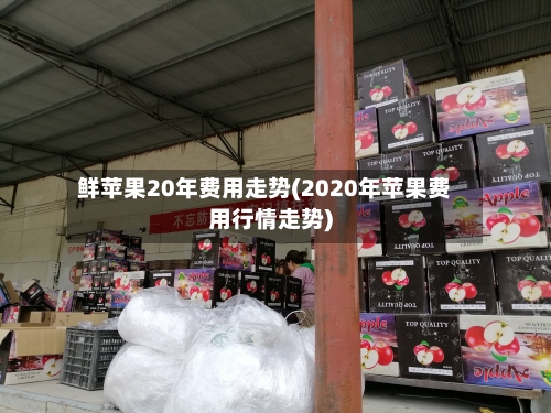 鲜苹果20年费用走势(2020年苹果费用行情走势)-第2张图片