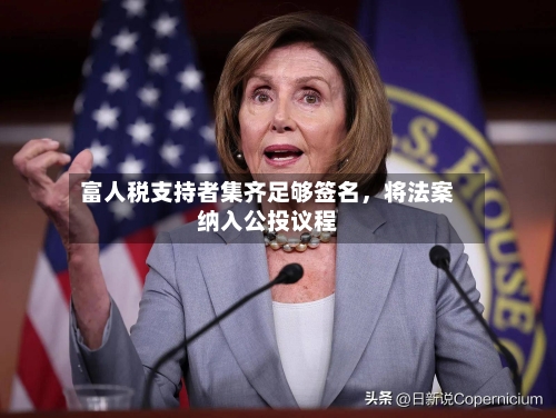 富人税支持者集齐足够签名，将法案纳入公投议程-第1张图片