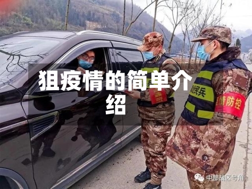 狙疫情的简单介绍-第1张图片