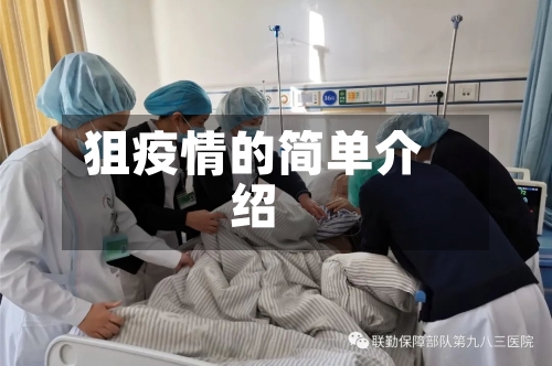 狙疫情的简单介绍-第3张图片