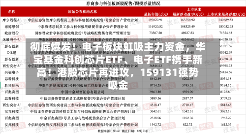 彻底爆发！电子板块虹吸主力资金，华宝基金科创芯片ETF、电子ETF携手新高！港股芯片再进攻	，159131强势吸金-第3张图片