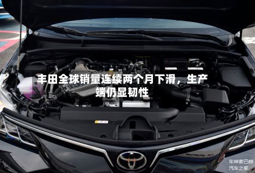 丰田全球销量连续两个月下滑，生产端仍显韧性-第1张图片