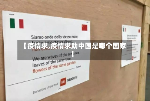 【疫情求,疫情求助中国是哪个国家】-第2张图片