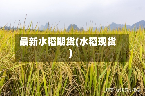 最新水稻期货(水稻现货)-第1张图片