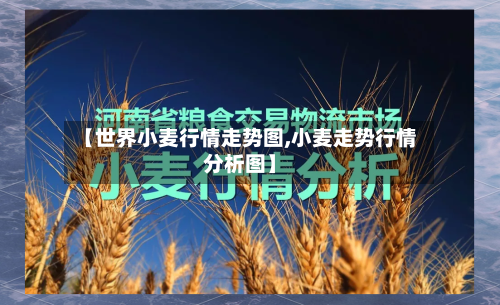【世界小麦行情走势图,小麦走势行情分析图】-第1张图片