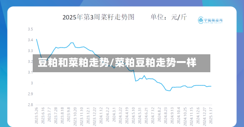 豆粕和菜粕走势/菜粕豆粕走势一样-第2张图片